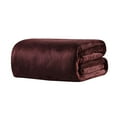 thumbnail image 1 of Blanket Soft Warm Flannel Flannel Blankets Bedding Supply for Winter, 1 of 8