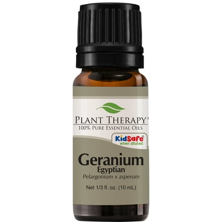 Aromatherapy Oil Geranium Plant Therapy Geranium Egyptian Essential Oil | 100% Pure, Undiluted, Natural Aromatherapy, Therapeutic Grade | 10 mL ()