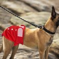 thumbnail image 2 of Couches pour Chiens Femelles, Couches Menstruelles pour Chiens Réutilisables à Forte Absorption., 2 of 5