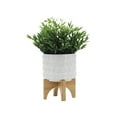 thumbnail image 5 of Sagebrook Home Ceramic 5" Planter On Wooden Stand, White, Round, Ceramic, Contemporary, 5"L X 5"W X 6"H, Bubble, 5 of 8