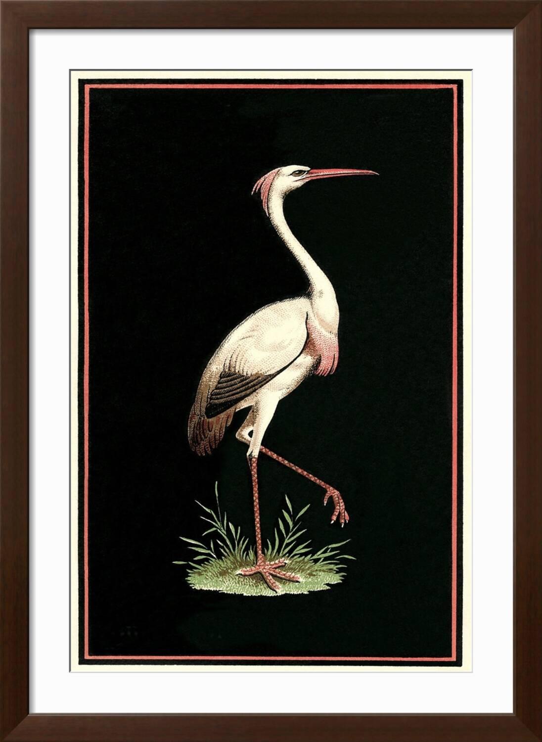 Art.com Crane on Black Background Art Print, Brown Frame Wall Art, 32" x 44"