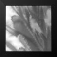 thumbnail image 2 of Tenoever, William 12x12 Black Modern Framed Museum Art Print Titled - Grey Flora 2, 2 of 5