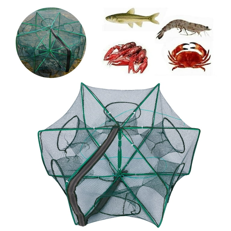 Foldable Fishing Net Trap Shrimp Cage, Easy Use for Fish Minnow Crab  Crayfish Shrimp, Fish Shrimp Minnow Crayfish Crab Baits Cast Mesh Trap, by