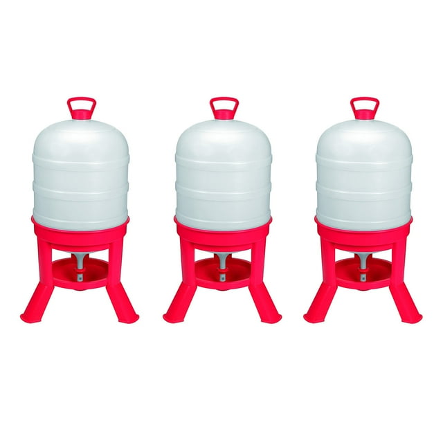 Little Giant DOMEWTR10 10 Gallon Tank Poultry Chicken Gravity Waterer (3 Pack)