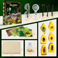 thumbnail image 5 of Amber Gemstone Dig Kit，Educational Science Kits for Kids Age 6 7 8 9 10，Crystals and Gemstones Gifts for 6+ year old girls boys Gem Digging Four Piece Set, 5 of 5