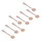 thumbnail image 3 of Tiny Stainless Steel Spoons Set of 8 for Spices Jars Salt Sugar and Pepper, 3 of 11