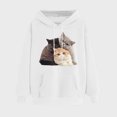thumbnail image 2 of VEKDONE Hoodies for Women Cute Cat Graphic Pullover Sweatshirt Fall Long Sleeve Thin Fleece Hooded Sweatshirts Casual Loose Fit Lightweight Sweatshirts with Pockets, 2 of 6
