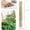 NA, variant on 50Pcs / 3ft Bamboo Plant Stakes for Indoor Outdoor Plants, Garden Plant Support Sticks, Poles for Tomato Vegetables Beans Trees Potted Climbing Plants(0.32''-0.4'')