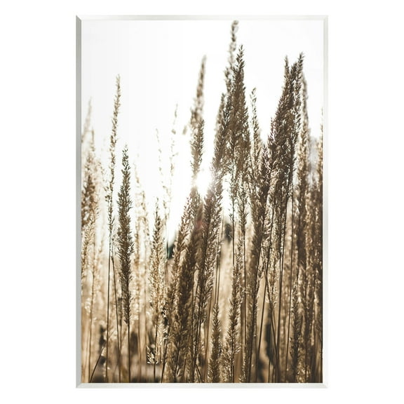 Stupell Industries Light Ray though Wheat Field Photograph Unframed Art Print Wall Art, Design by Susan Ball