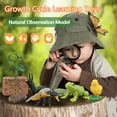 thumbnail image 2 of Animal Plant Insect Growth Simulation Cards Montessori Learning Toys For Kids Ages 3-6 Biological Science Teaching Aids, 2 of 10