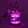 thumbnail image 6 of Uxcell Round Wooden 2.56" Colorful Light Display Base Stand LED Light Wood Color, 2Pcs, 6 of 7