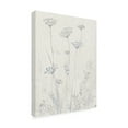 thumbnail image 2 of Trademark Fine Art 'Neutral Queen Anne's Lace II' Canvas Art by Tim OToole, 2 of 4