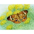 thumbnail image 1 of Betsy Drake DM763G Papillon 30 x 50 Tapis de Porte, 1 of 1