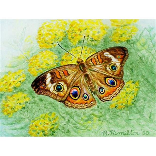 Betsy Drake DM763G Buckeye Butterfly 30 x 50 Door Mat