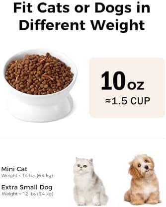 Elevated Cat Food Bowl, 5 Oz Ceramic Raised and Tilted Water Bowl, Anti Vomiting and Protect Pets' Spines Dishes for Small Dog, Fat Faced Cat, Kitten (White, 10 OZ)