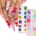 thumbnail image 2 of Juego de flores secas 300 colores Arte de uñas Forma mixta con botella 3D Flor seca Uñas Gel UV japonés Consejos de manicura Encantador ZCFD Tan Jianjun unisex, 2 of 2
