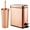 Rose Gold, variant on mDesign Metal Toilet Bowl Brush and Holder + Wastebasket - Set of 2, White