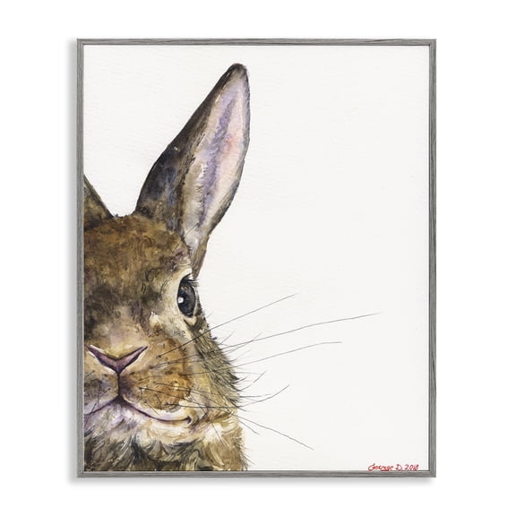 Stupell Industries Rustic Lodge Farm Rabbit Gaze Adorable Whiskered Animal Gray Framed Giclee Art, 16 x 20, by George Dyachenko