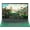Green, variant on Rumtuk 16" Green Laptop, 16GB RAM,1TB SSD,Win 11 Pro/Office 2019, 6500Y(up to 3.4),FHD IPS Display, Backlit KB, Fingerprint, USB 3.0, HDMI, Type-C, WiFi/Bluetooth, Perfect for Work, Study and Play!