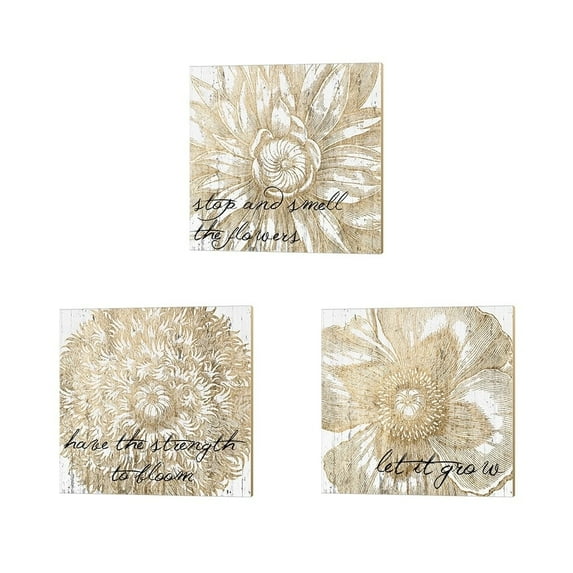 Metaverse Jarman Fagalde 'Metallic Floral Quote' Canvas Art (Set of 3)