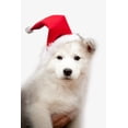 thumbnail image 3 of A 5-piece set of Christmas costume accessories, including Santa hat, scarf, Christmas bowknot collar, bell with bow and headband, suitable for pet Christmas costume. (single-faced velvet suit size S), 3 of 5
