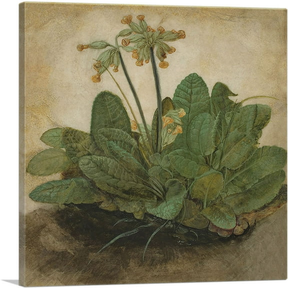 ARTCANVAS Tuft of Cowslips Canvas Art Print by Albrecht Durer - Size: 18" x 18" (0.75" Deep)