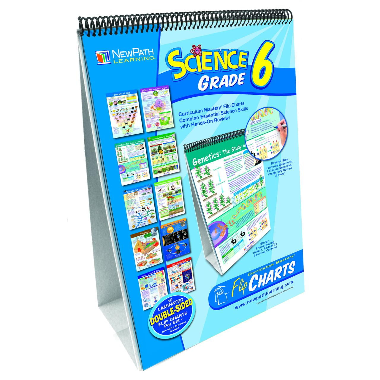 NewPath Learning Science Skills Curriculum Mastery® Flip Chart, Grade 6