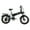 Black, variant on Go Power Go Explore Foldable Electric Bike | White