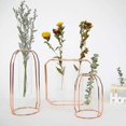 thumbnail image 3 of 1pc Hydroponic Glass Tube Green Planter Glass Vase Metal Plant Container Rack Flower Tube For Home Office (single Tube Trumpet), 3 of 3