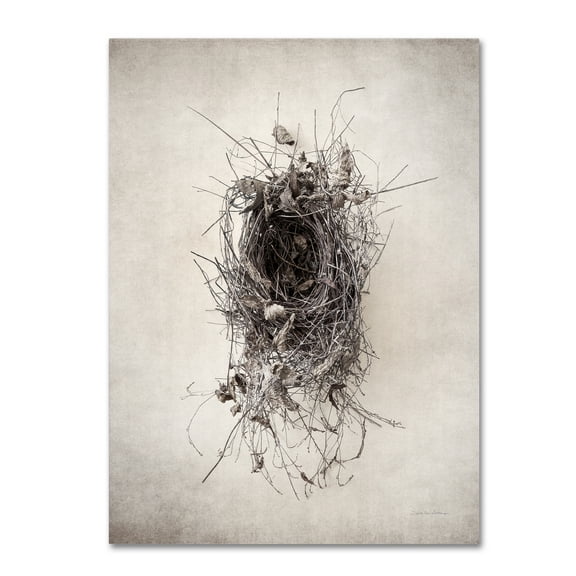 Trademark Fine Art 'Nest II' Canvas Art by Debra Van Swearingen