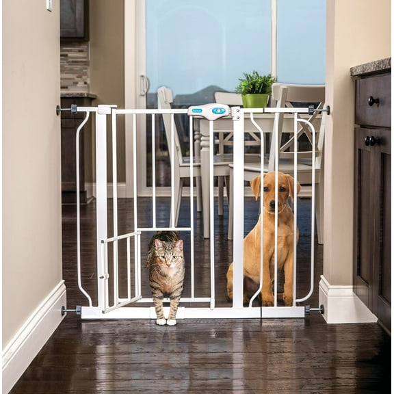 Carlson Pet Products Metal Dog Gate with Walk-Through and Additional Small Door, 31" Tall, White