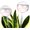 XL (13 oz) – 2 Pack, variant on 13 oz Up 2 Weeks Watering Globes, Iridescent Rainbow Glass Water Bulbs, Self Watering Planter Insert, Watering Devices System, Automatic Waterer, 2 Pack