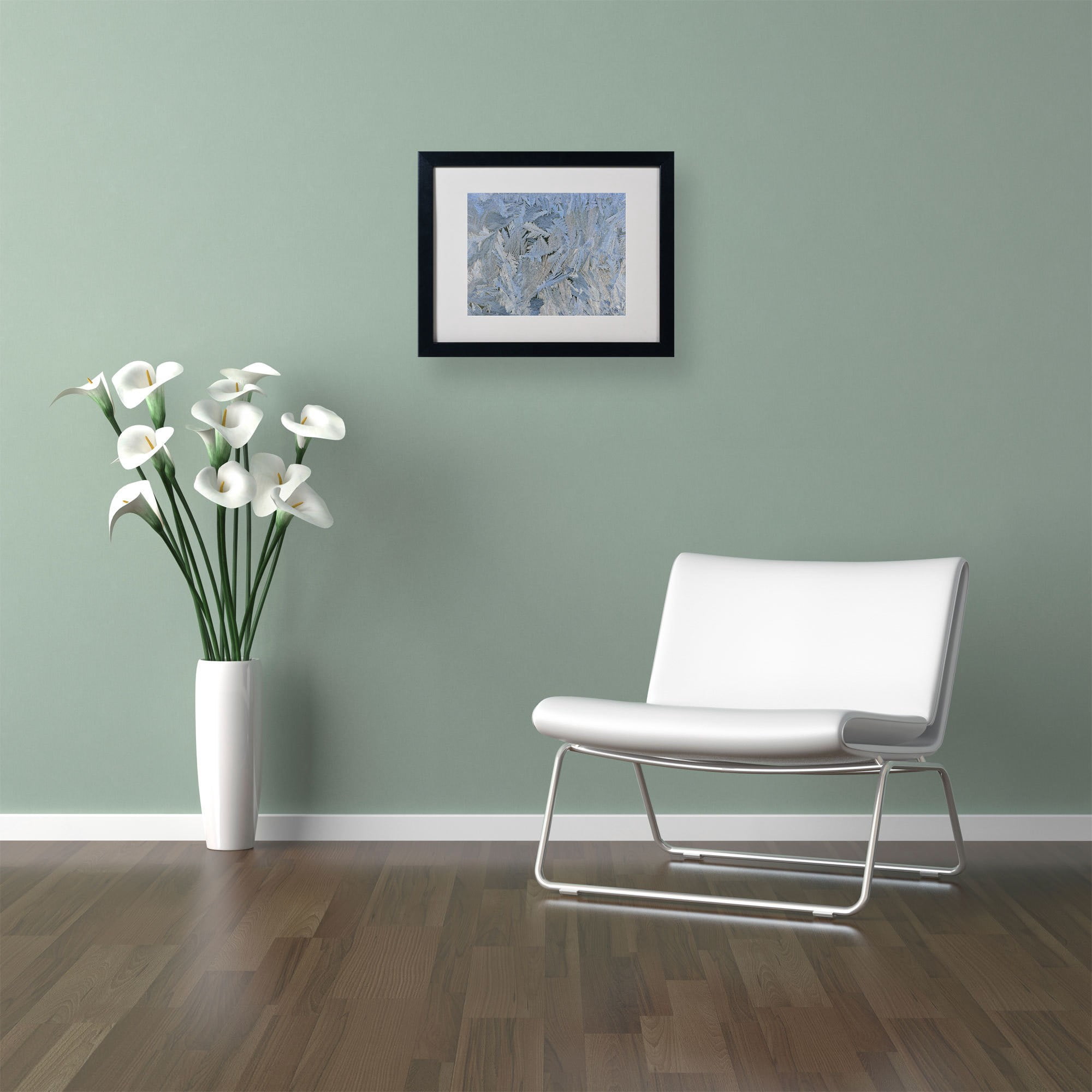 Trademark Fine Art "Frost Pattern #6" by Kurt Shaffer, Black Frame