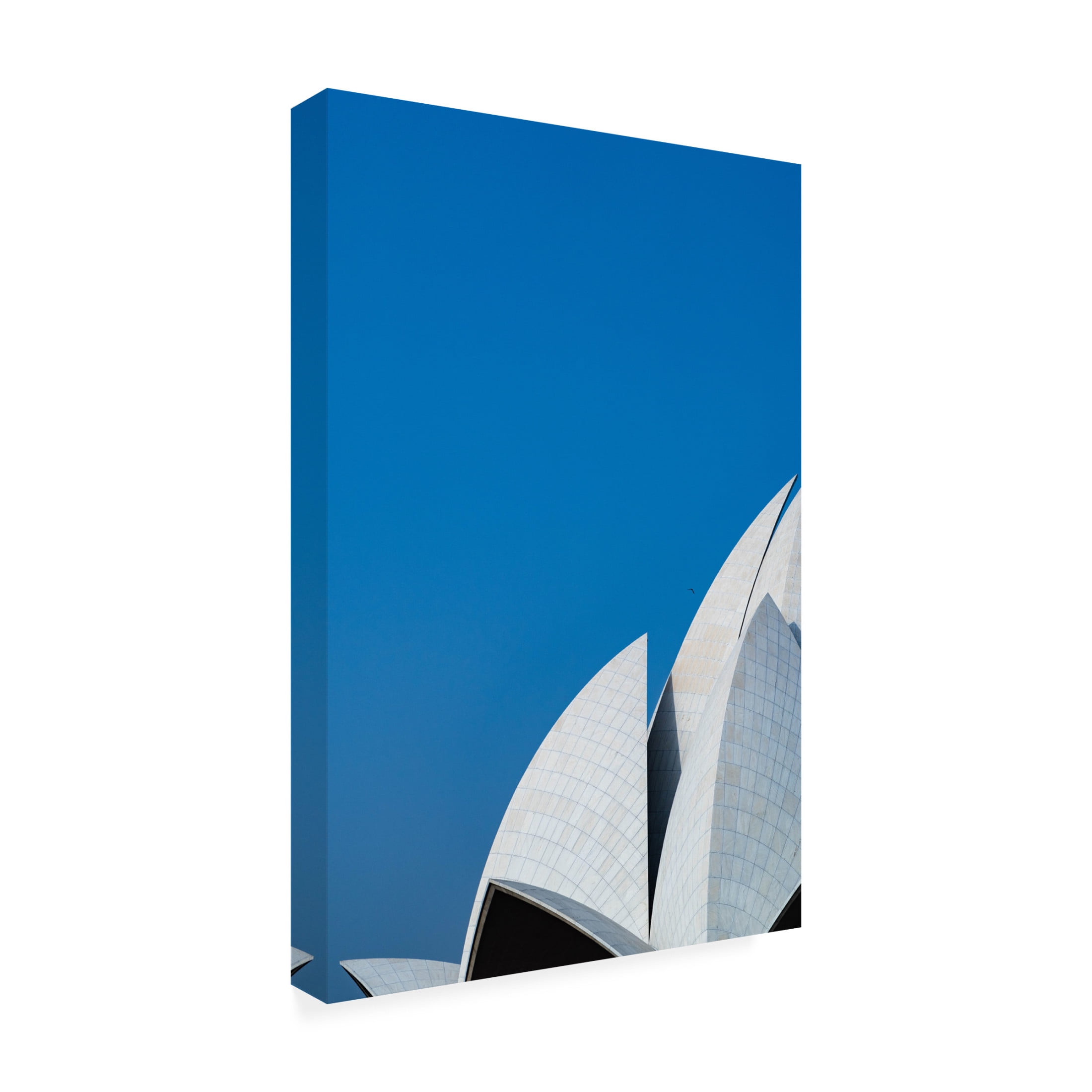 Trademark Fine Art Shobhit Chawla Lotus temple the balance Canvas Wall Art