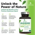 thumbnail image 6 of Mushroom Brain Supplement 10 in 1 Blend - High Strength Mushroom Complex with Lions Mane, Turkey Tail, Reishi, Cordyceps, Chaga & Brain Nootropic Complex for Memory & Focus Support - 120 Capsules, 6 of 10