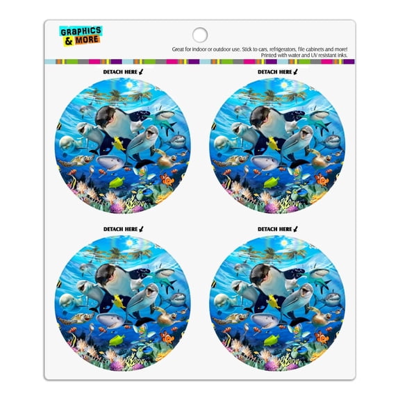 Underwater Ocean Selfie Orca Shark Dolphin Sea Turtle Coral Refrigerator Fridge Locker Vinyl Circle Magnet Set