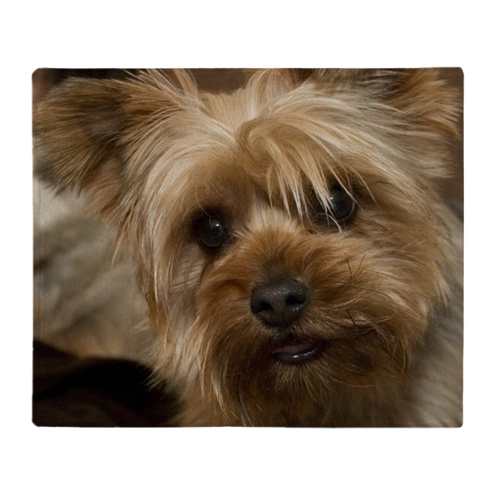 CafePress Yorkie Puppy Throw Blanket Soft Fleece Throw Blanket, 50