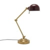 Drew Barrymore Flower Home Adjustable Arm Task Light
