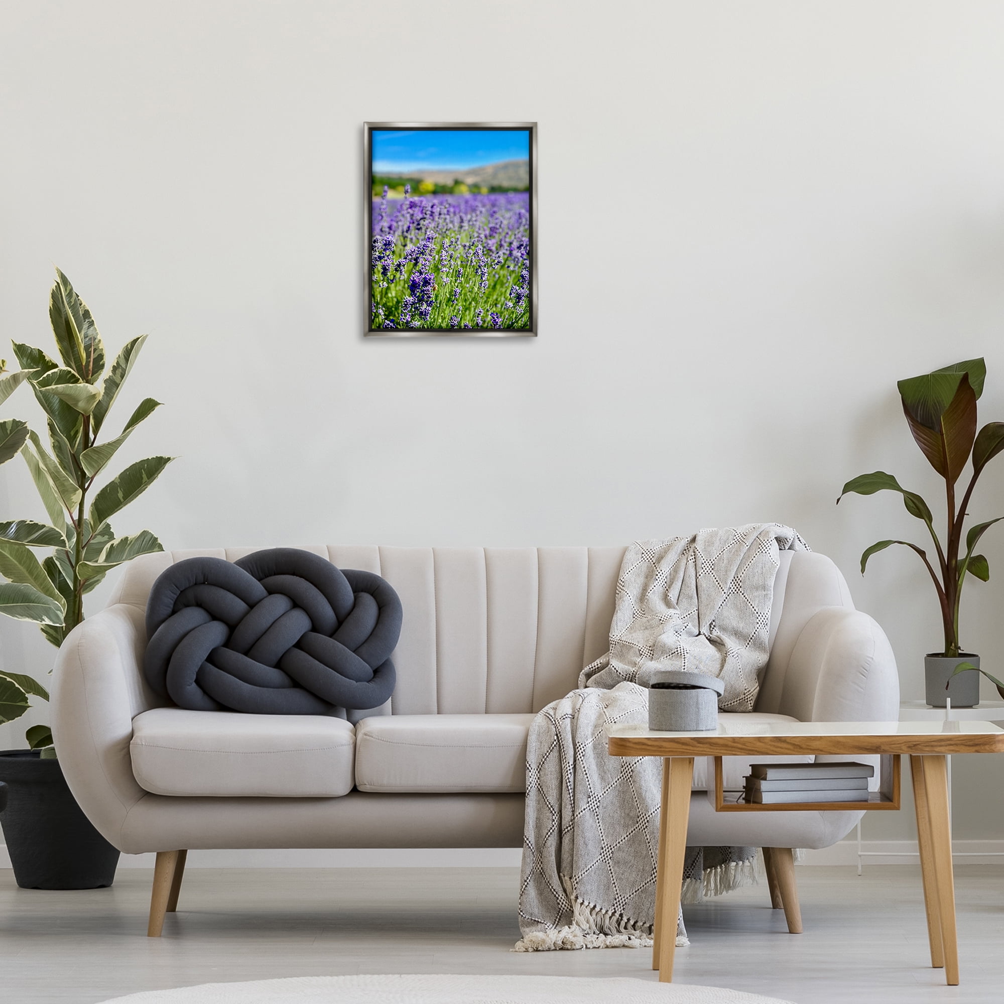 Stupell Industries Lavender in the Wind Landscape Photography Gray Floater Framed Art Print Wall Art, 17 x 21