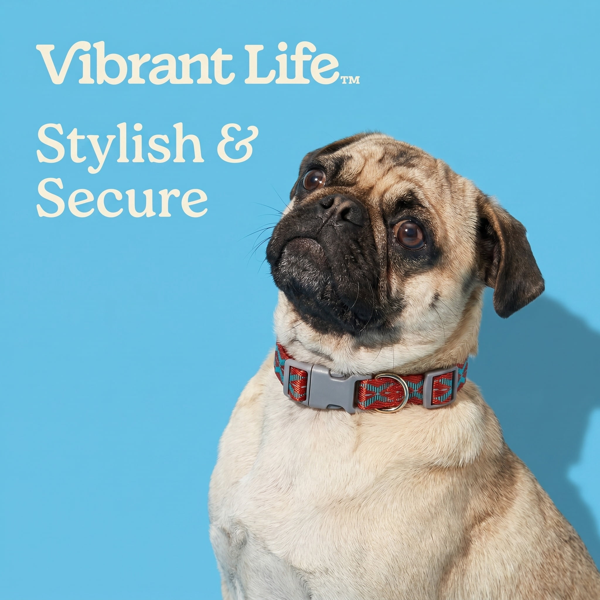 Vibrant Life Reflective Adjustable Dog Collar, Orange, Small