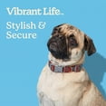 thumbnail image 4 of Vibrant Life Reflective Adjustable Dog Collar, Orange, S, 4 of 10