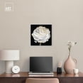 thumbnail image 3 of Black Ranunculus Canvas Dark Florals And Fashion Wall Art by Art Remedy, White Frame, 16" x 16", 3 of 7