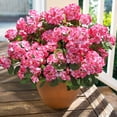 thumbnail image 2 of Flores artificiales de geranio HyeFlora, 6 paquetes, rosas, 2 of 9