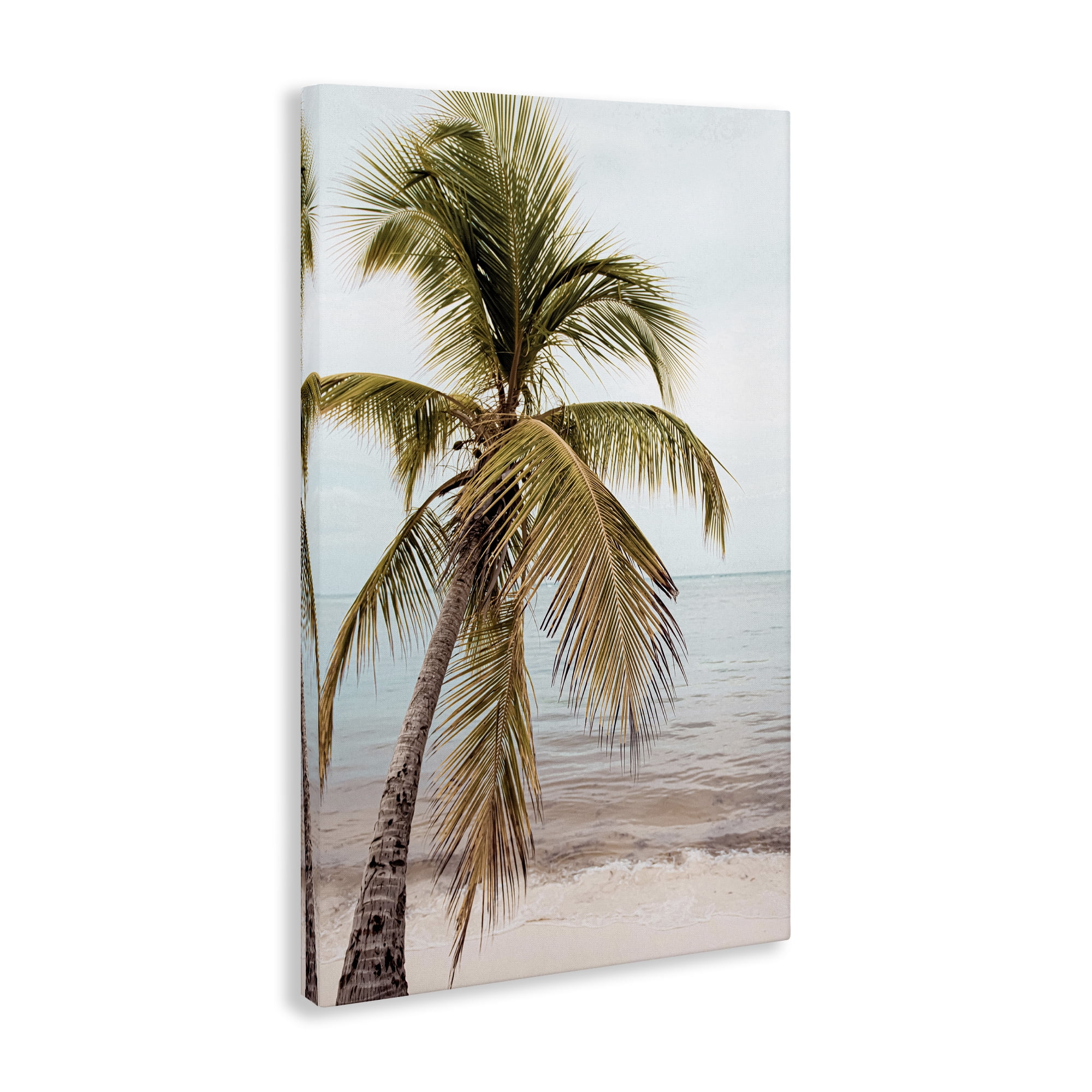 Stupell Industries California Summer Palm Nautical & Beach Photography Wrapped Canvas Art Print Wall Art, 24 x 36