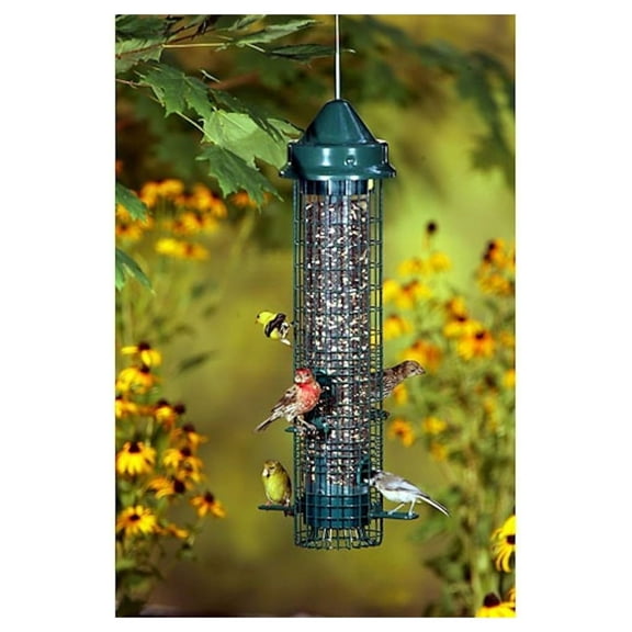 Squirrel Proof Bird Feeder - GC Care Squirrel Buster Classic - Wild Bird Feeders for Outdoors - Squirrel Resistant Feeder - Keeps Squirrels Away