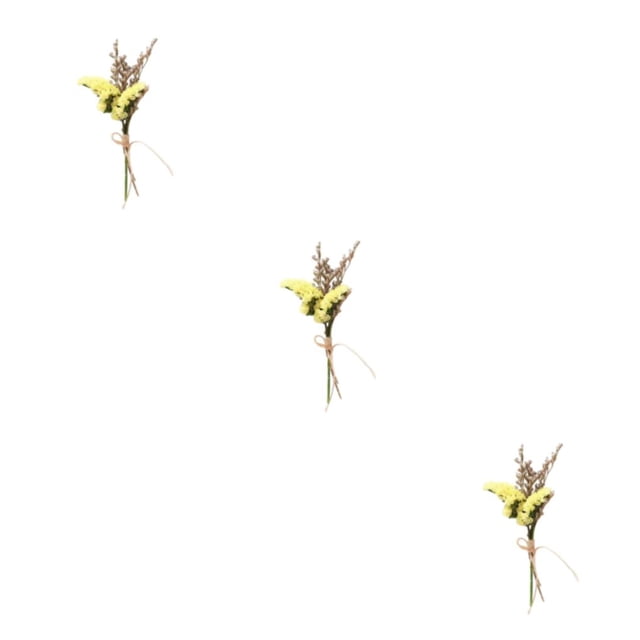 Wosthever Arreglos de hojas y flores secas ecológicos y sostenibles Ramo de flores secas naturales HS-09 Type1 NO1