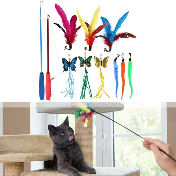 Cat Wand Toy Refills Cat Feather Toys Accessories for Cat Fishing Pole  Assorted Teaser Refills with Bell for Indoor Kitten Toys - AliExpress