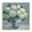 Pastel Hydrangeas Vase, variant on Stupell Industries Transitional White Peony Impression in Vase Canvas Art, 17 x 17, by Nan