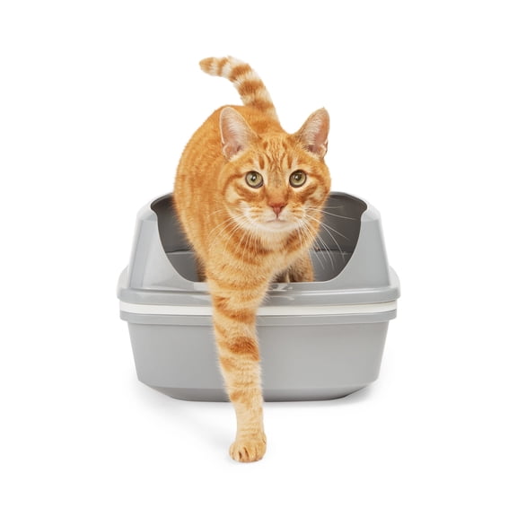 So Phresh Grey & White Lift-to-Sift Cat Litter Pan Large 19.7" L