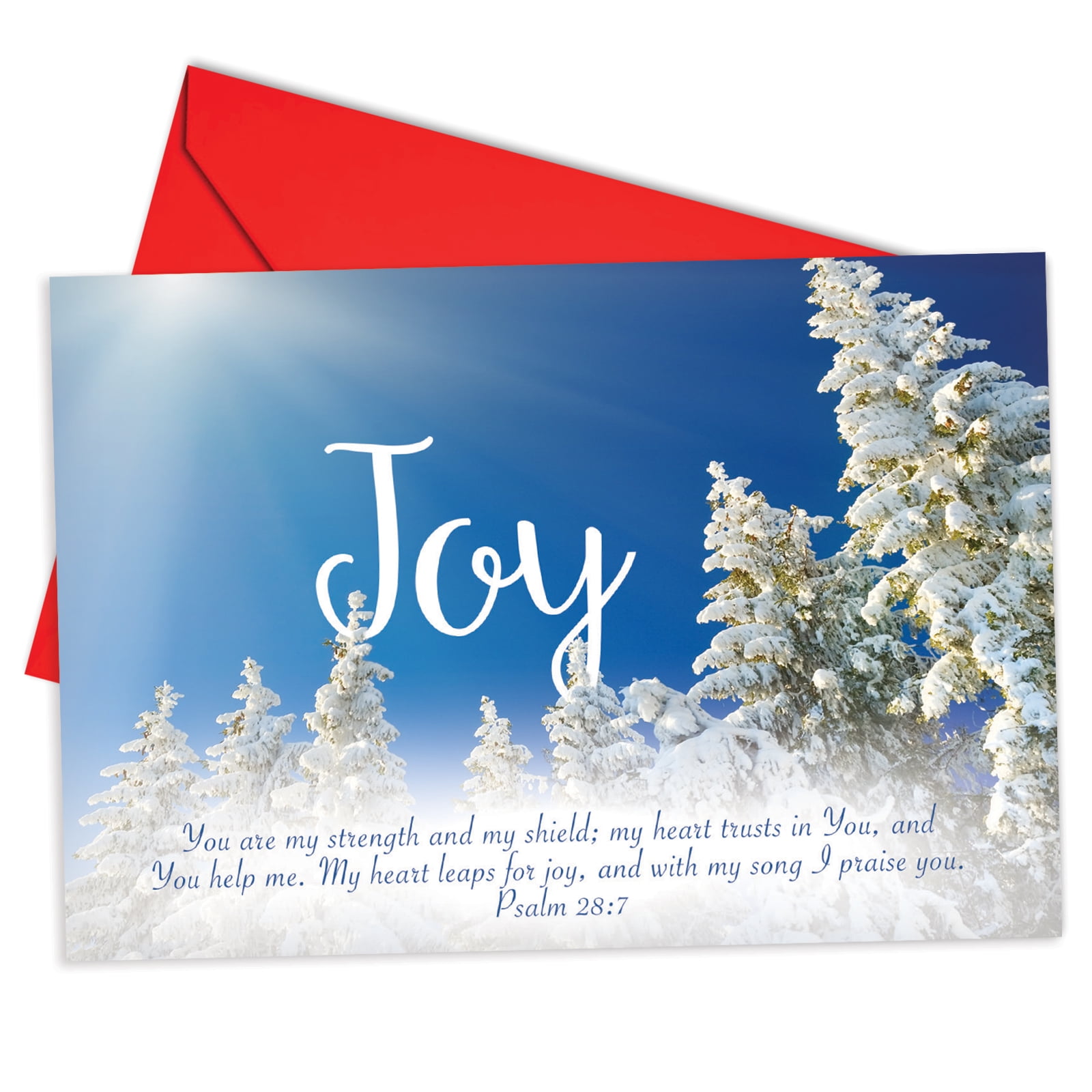 B6661HXSG Holiday Devotions Christmas Cards' Box Set of 12 Humor Merry